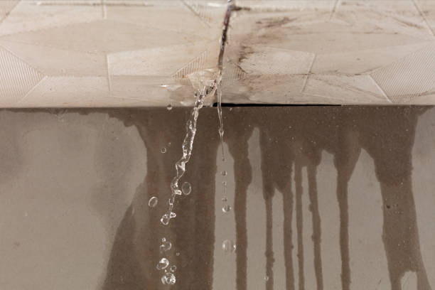 Professional Water Damage Repair technician working in Mount Calm, TX